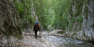 Hrčavka-Kanjon-TaraCanyonRaft