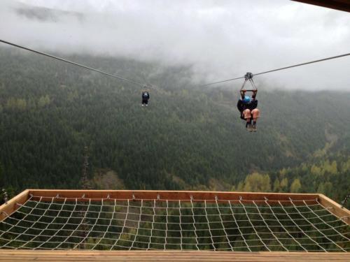 Zip Line Tours
